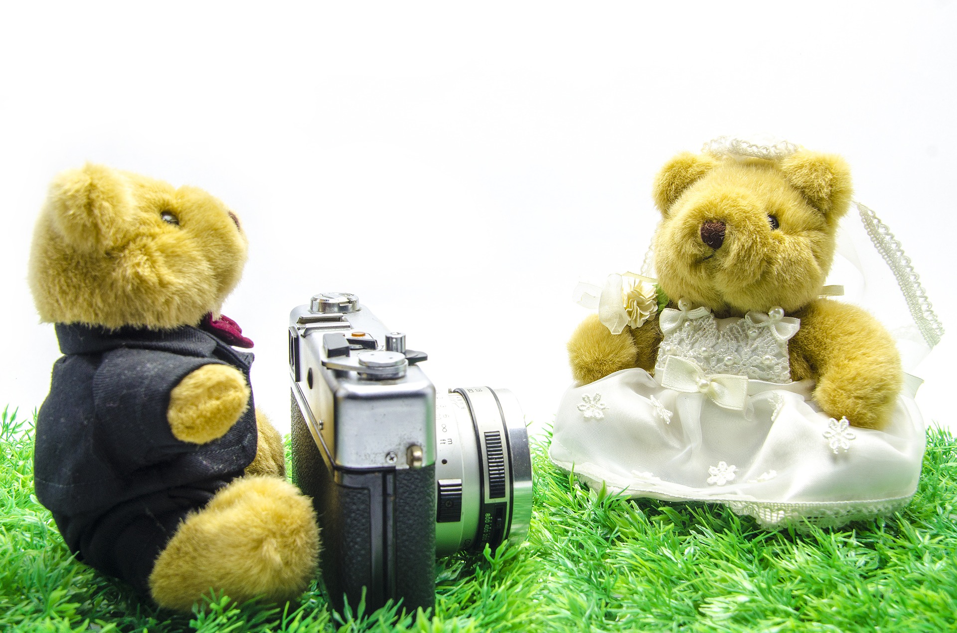 svatba medvědů